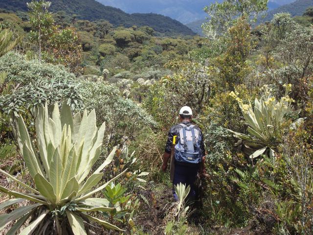 Guardianes del Páramo: Expedición por la Reserva Natural la Rejoya