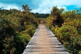Guardianes del Páramo: Expedición por la Reserva Natural la Rejoya