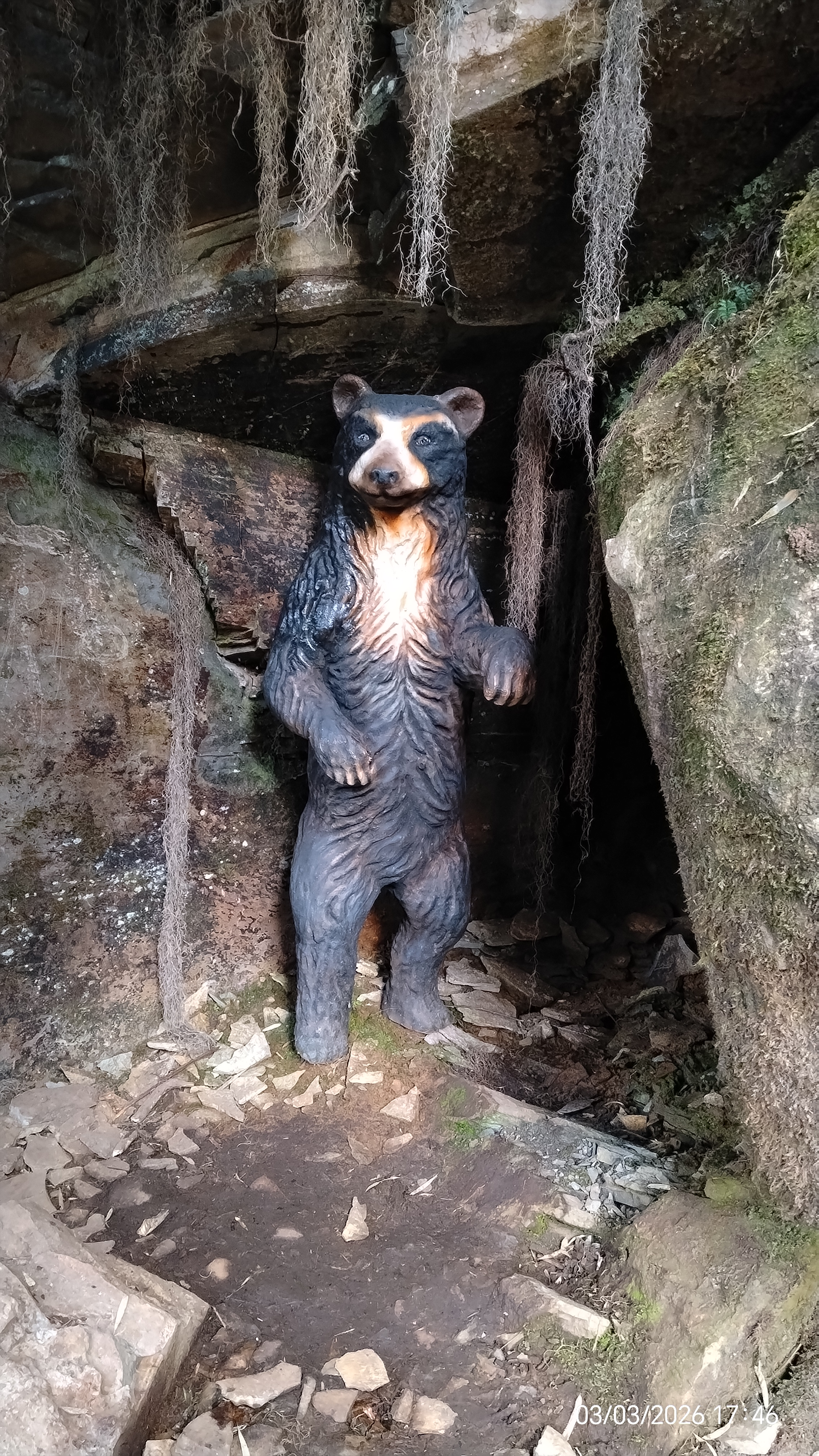 Expedición al páramo Bordoncillo y Cascada del Oso